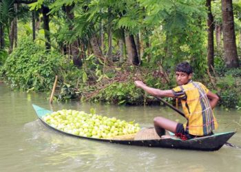 পেয়ারার গ্রামে একদিন