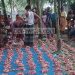 কোরবানির পশু জবাই ও মাংস কাটায় সতর্কতা