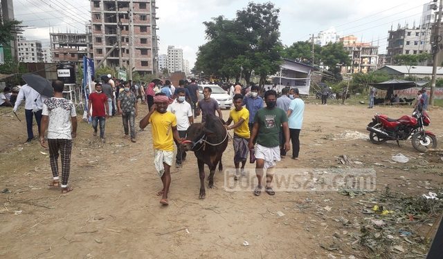 রাজধানীর কোরবানির পশুর হাটগুলোতে সপ্তাহজুড়ে বেপারীরা হাহাকার করলেও শেষ দিনে ‘লাভের মুখ’ দেখেছেন; ক্রেতাদের আনাগোনায় জমে উঠে হাট।