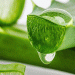 অ্যালোভেরার যত গুণ