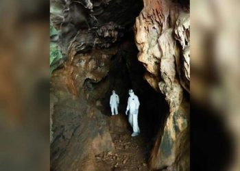 আরেক মহামারীর আগে বাদুড়ের ডেরায় ‘ভাইরাস শিকারিরা’