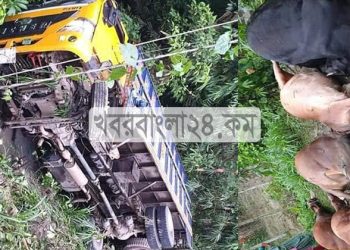 টাঙ্গাইলে চোরাই গরুর ট্রাক খাদে পড়ে ৬টি গরুর মৃত্যু