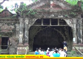 নাগরপুরে প্রত্নতাত্ত্বিক স্থাপনা পরিদর্শন করলেন মহাপরিচালক