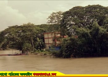 মির্জাপুরে লৌহজং নদীর ভাঙনের মুখে গুনটিয়া সরকারী প্রাথমিক বিদ্যালয়