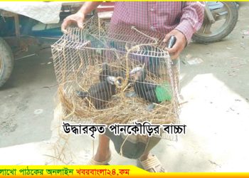 পাখির প্রতি ভালোবাসা ভোক্তা অধিকার কর্মকর্তার