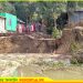 অসময়ের ভাঙনে নাগরপুরে মুক্তিযোদ্ধার বাড়ী সহ ৫/৭টি বাড়ী নদী গর্ভে বিলীন