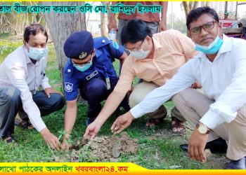 ভূঞাপুরে বজ্রপাত প্রতিরোধক তাল গাছের বীজ রোপন