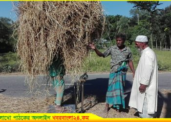 গোপালপুরে গো-খাদ্য খড় মাপার অভিনব কায়দা আবিস্কার