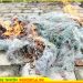 নাগরপুরে পুড়িয়ে ফেলা হলো ১৫ হাজার মিটার জাল