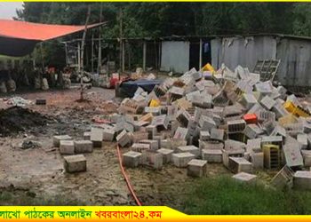সখীপুরে বনের ভেতর সীসা কারখানা! বন কর্মকর্তাদের সম্পৃক্ততার অভিযোগ