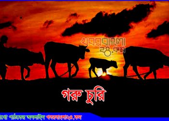 দেলদুয়ারে গরু চোরের গুলিতে আহত ১, পুলিশের বলছে গুলি না