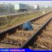 টাঙ্গাইলে ট্রেনে কাটা পড়ে অজ্ঞাত যুবকের মৃত্যু