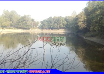 কালিহাতীতে মসজিদের পুকুর দখলের পায়তারা