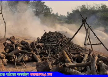মির্জাপুরে অবৈধভাবে কাঠ পুড়িয়ে কয়লা তৈরির চুল্লি ধবংস