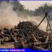 মির্জাপুরে অবৈধভাবে কাঠ পুড়িয়ে কয়লা তৈরির চুল্লি ধবংস