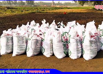 উদ্যোক্তা শরিফের প্রচেষ্টায় ঘাটাইলে কেঁচো কম্পোস্টের ব্যবহার বেড়েছে