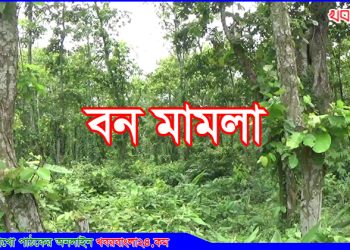 ঘাটাইলে বন মামলায় ইউপি সদস্য কারাগারে