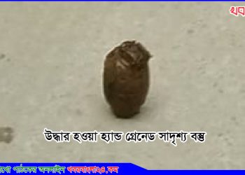 ঘাটাইলে পুকুর থেকে হ্যান্ড গ্রেনেড উদ্ধার, দেখতে ভীড়