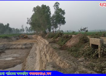 ছেলের বিরুদ্ধে এসিল্যান্ডের কাছে মায়ের অভিযোগ; ১৫ দিন পরও অকার্যকর