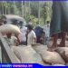 গোপালপুরে খাদ্যবান্ধব কর্মসূচির চাল জব্দ