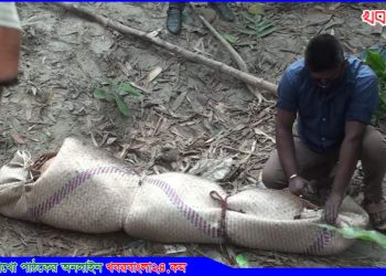 টাঙ্গাইলে পরকিয়ার বলি স্বামী; স্ত্রী ও প্রেমিক আটক