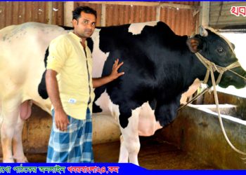 কালিহাতীতে ঈদ আকর্ষণ, নয়া দামানের রসিক হাসি