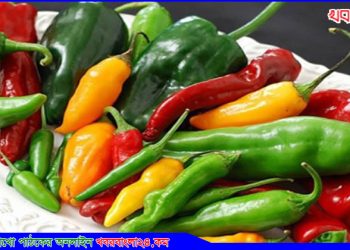 ১টি কাঁচা মরিচে রয়েছে ১৩টি স্বাস্থ্য উপকারিতা