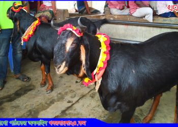 ঈদের মাঠেও মেসি-নেইমার সেরা