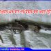 টাঙ্গাইলে কুড়িয়ে পাওয়া অস্ত্র এক মাস পর উদ্ধার