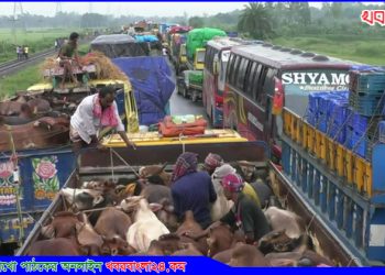 ঢাকা-টাঙ্গাইল-বঙ্গবন্ধু সেতু মহাসড়কের দীর্ঘ যানজট