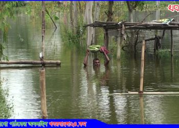 টাঙ্গাইলে বন্যা পরিস্থিতির অবনতি; পানীয় জল ও শুকনো খাবার সংকট