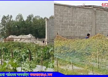 কারখানা থেকে নির্গত বর্জ্যে নষ্ট হয়ে যাচ্ছে সবজি