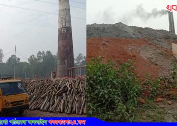 মধুপুরে অবৈধ ইটভাটায় পুড়ছে বনের গাছ ও পাহাড়ের লাল মাটি!
