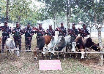 হালুয়াঘাট সীমান্ত : ভারতীয় জিরা ও গরু আটক করল বিজিবি