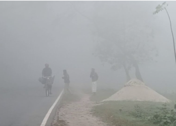 বৃহস্পতিবার থেকে ফের শৈত্যপ্রবাহের সম্ভাবনা