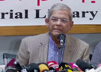 অতিবিপ্লবী হয়ে সমাজে নৈরাজ্য সৃষ্টি করা যাবে না: মির্জা ফখরুল