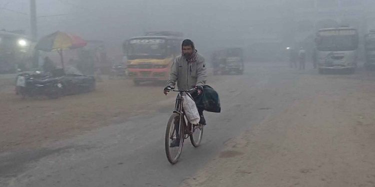 শীতে কাঁপছে নওগাঁ তাপমাত্রা ৮ ডিগ্রির ঘরে