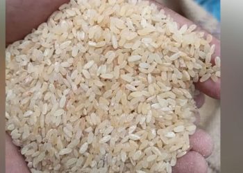 কুড়িগ্রামে টিসিবির পচা ও দুর্গন্ধযুক্ত চাল বিতরণ