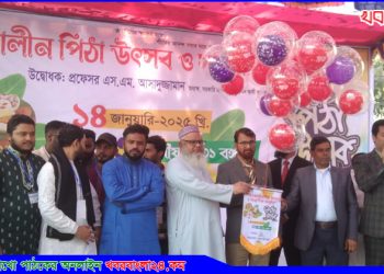 সরকারি এম এম আলী কলেজে পিঠা উৎসব অনুষ্ঠিত