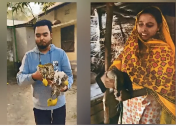 ‘জামাই’ আপ্যায়নে বক-বুনোহাঁস, ২ ভ্লগারকে খুঁজছে বন বিভাগ