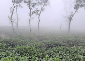 ৮.৫ ডিগ্রিতে কাঁপছে মৌলভীবাজার