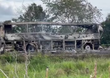 মেক্সিকোতে বাস-ট্রাকের সংঘ/র্ষ নি/হত বহু