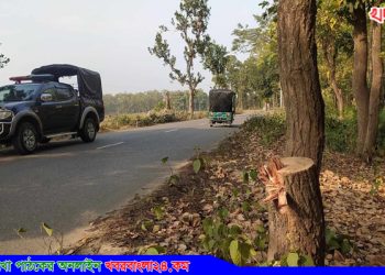 ঘাটাইলে সড়কে গাছ ফেলে শিক্ষা সফরের ৪ বাসে ডাকাতি