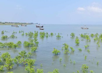 টেকনাফে ট্রলারডুবি: নাফ নদীতে ৪ রোহিঙ্গার মরদেহ উদ্ধার