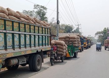 আলু উৎপাদনে রেকর্ড, সংরক্ষণ সংকটে বিপাকে পাকুন্দিয়ার কৃষকরা