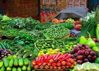 বাড়তি দামে মাছ-মাংস দ্বিগুণের বেশি বেগুন-শসা