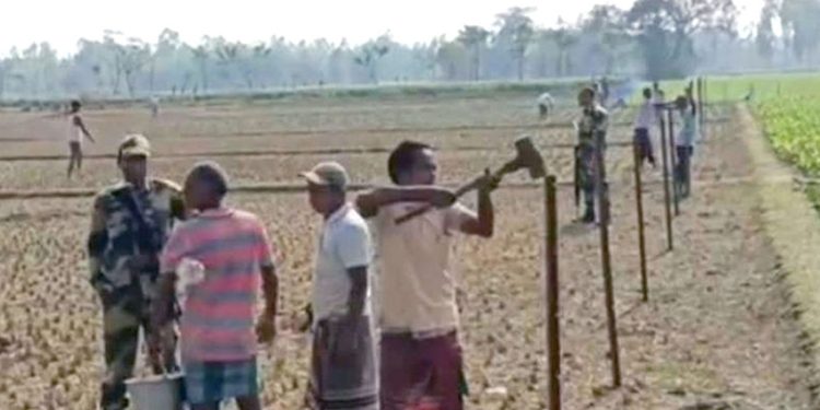 বেড়া দিতে দেবে না বাংলাদেশ সীমান্ত হ'ত্যা জায়েজ করার চেষ্টা ভারতের