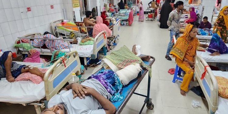ইইউ চালু করলো আ'হত ৮ হাজারকে সহায়তা দিতে বিশেষ প্রকল্প