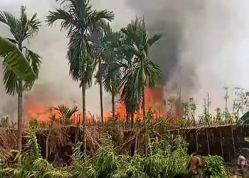 রাজশাহীর বাগমারায় ভয়াবহ আ'গুনে পুড়লো ২০ বিঘা পানের বরজ