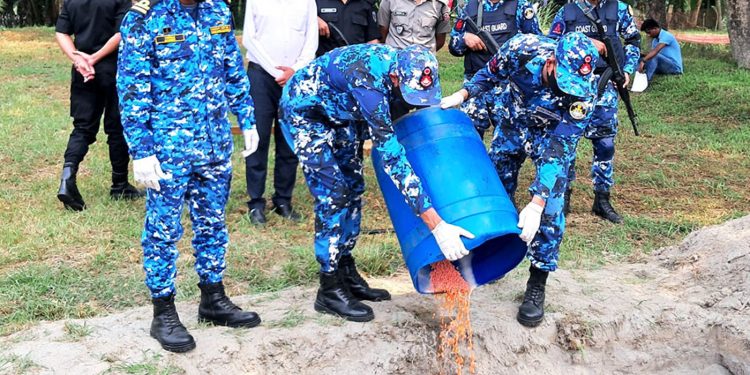 ভোলায় তিন লাখ ই'য়াবা ধ্বংস কোস্ট গার্ড-র‍্যাবের অভিযানে জব্দ